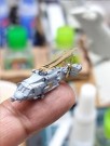 HS Models 1:350 - Sikorsky MH-60 R Sea Hawk thumbnail