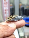 HS Models 1:350 - Sikorsky MH-60 R Sea Hawk thumbnail