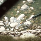 AK-Interactive Water Gel Effects (8007) thumbnail
