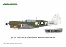 Eduard 1:48 - P-40N WARHAWK ROYAL CLASS DUAL COMBO (R0025) thumbnail