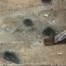 AK-Interactive Terrains Dry Ground 250ml (8015) thumbnail
