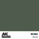 RC951 RLM 82 thumbnail